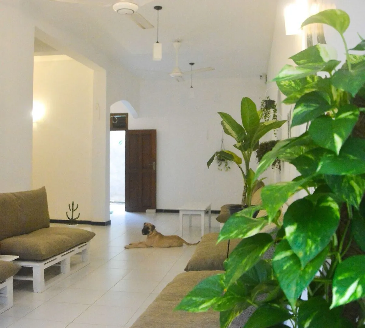 Bed & Bicycle Hostel Dehiwala-Mount Lavinia